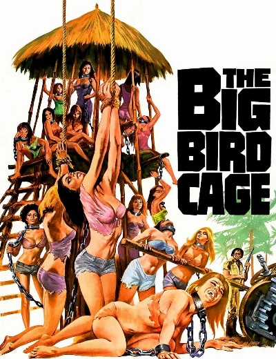 The Big Bird Cage